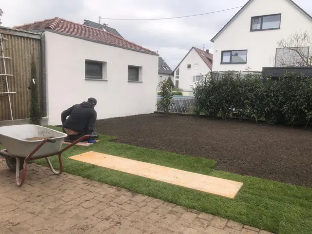 Rollrasen wird auf vorbereitetem Boden verlegt