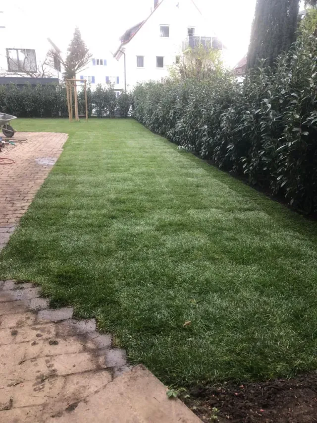 Rasenfläche entlang einer Hecke und eines Pflasterwegs